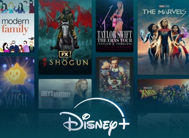 Walt Disney streaming service