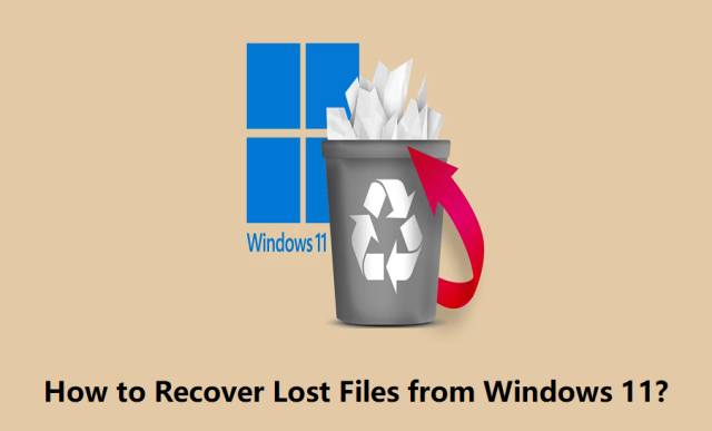 How to Recover Lost Files from Windows 11